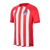 Maillot de Supporter Atlético Madrid Domicile 2023-24 Pour Homme